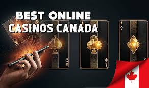 Best Online Casinos in Canada Top Choices for Players