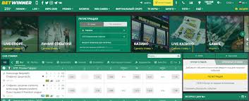 Discover Excitement at BetWinner Online Casino