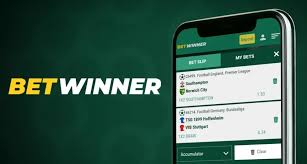 Your Ultimate BetWinner Betting Guide -850637776