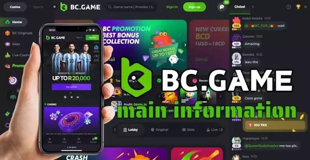 Understanding Official BC.Game Mirror Sites A Comprehensive Guide